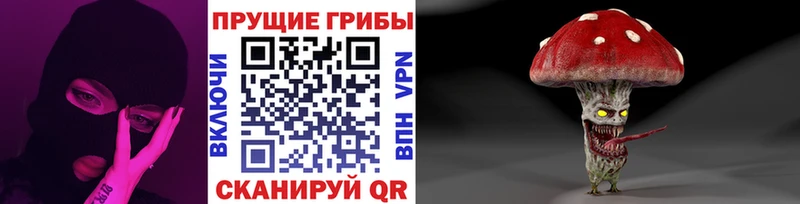 Псилоцибиновые грибы MAGIC MUSHROOMS  Купить  Семикаракорск 